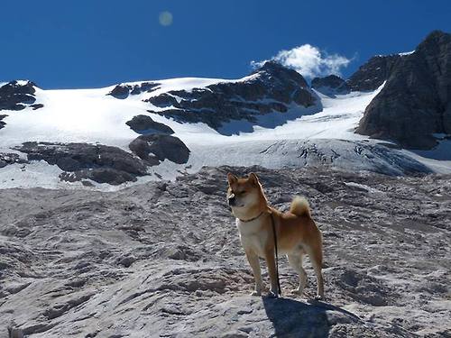 鹈鹕对决快船，保罗关键节点连续得分，诠释何为控场大师