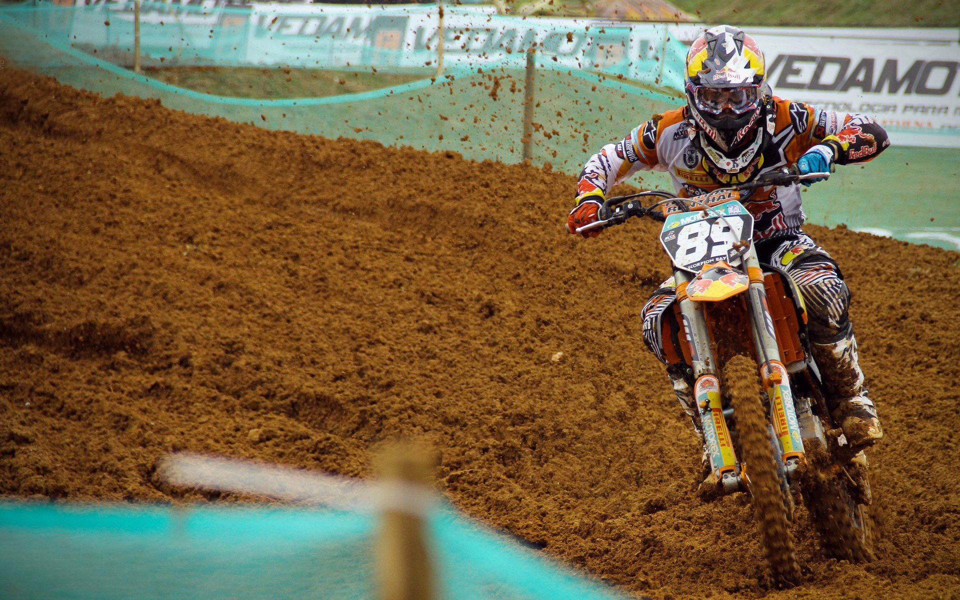 从墨尔本到马略卡，辛纳的制胜基因如何催化戴维斯杯历史性翻盘